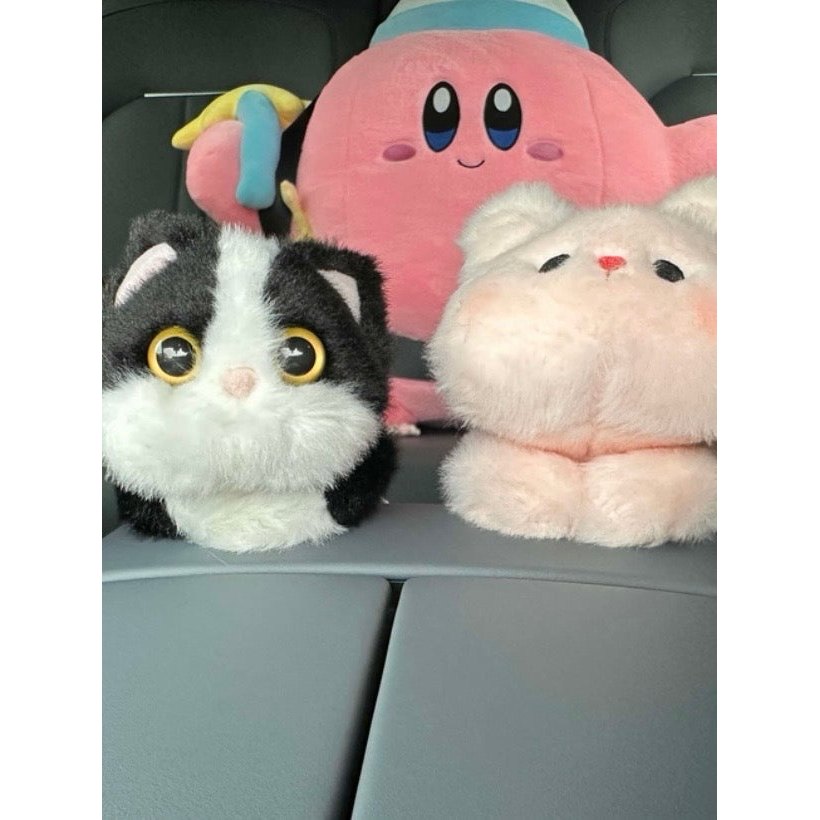 Magnetic Car Plushy Toys